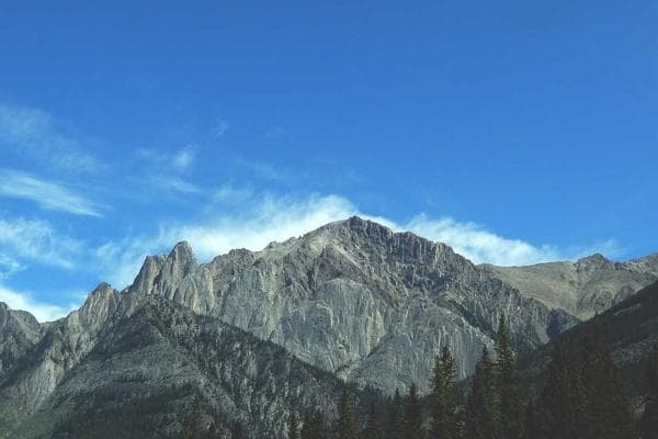 Industrial Warehouse Wireless Bridge